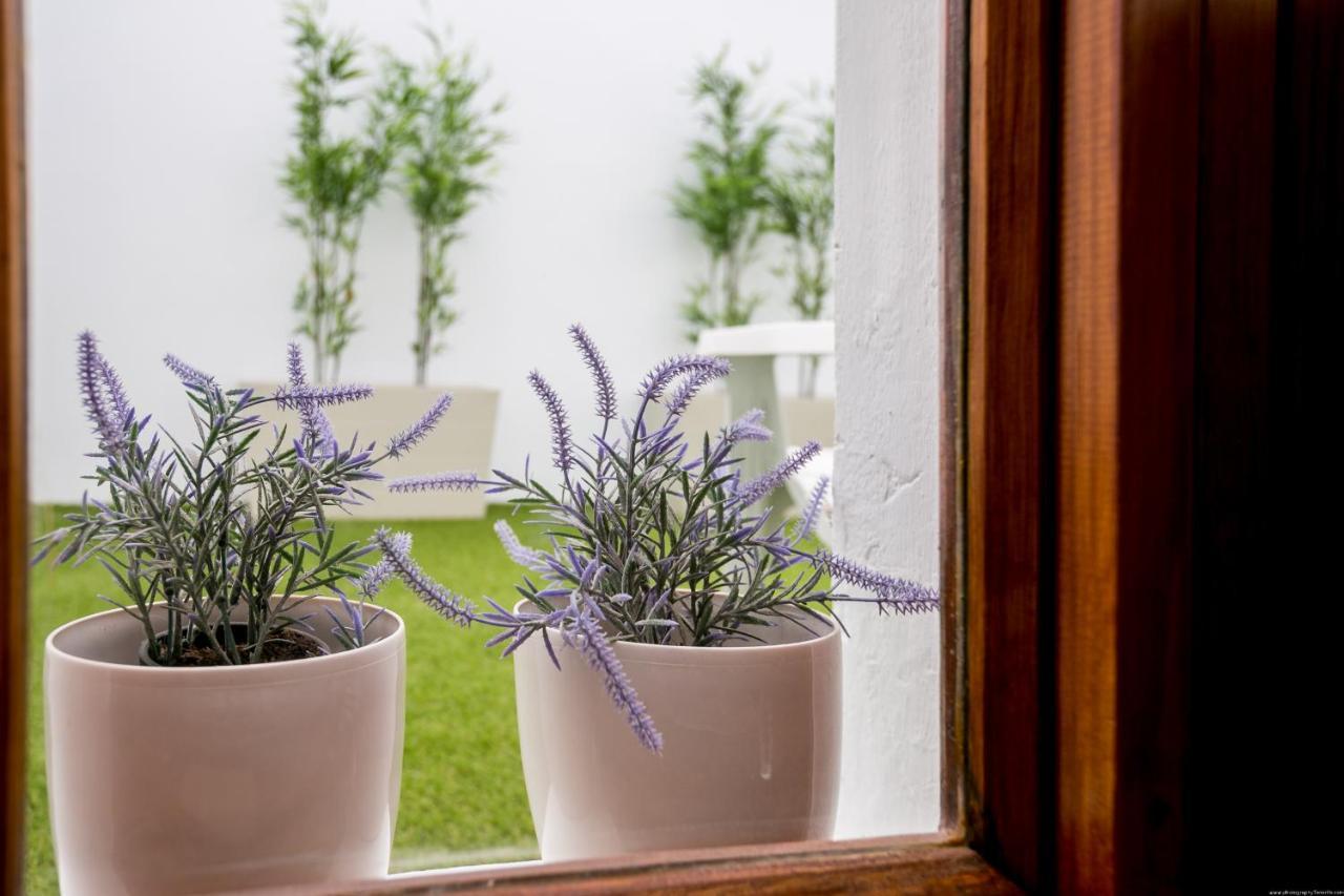 Cactus Apartment San Miguel de Abona Bagian luar foto