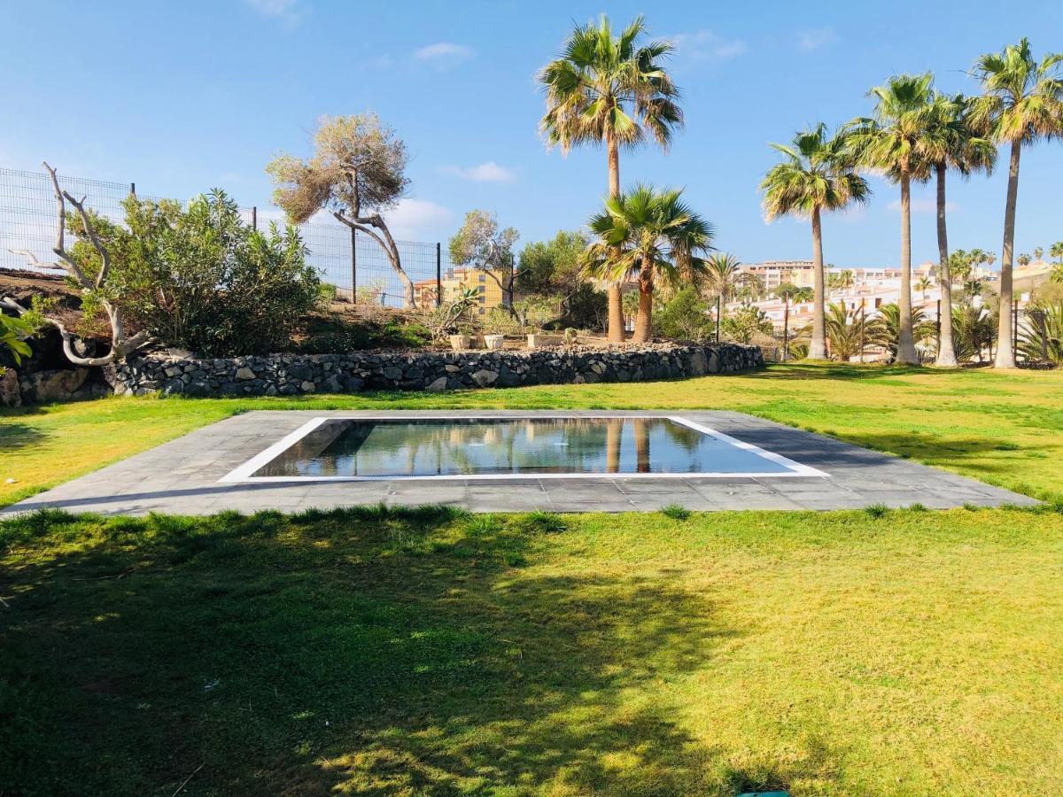 Cactus Apartment San Miguel de Abona Bagian luar foto