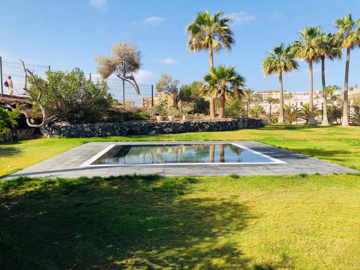 Cactus Apartment San Miguel de Abona Bagian luar foto